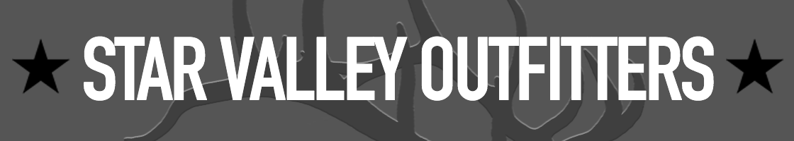 SVO_Banner